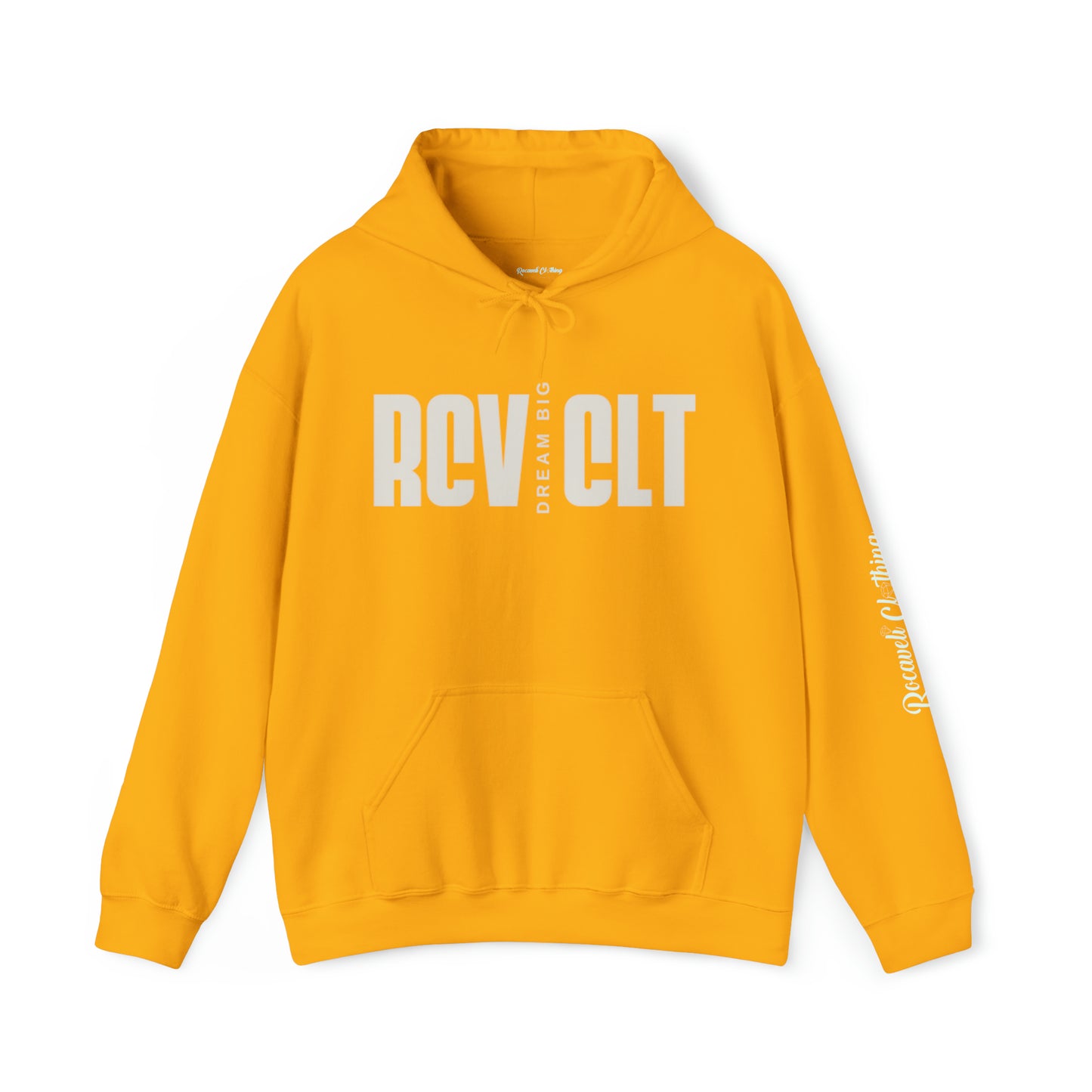 Unisex Heavy Blend™ Hooded Sweatshirt DREAM BIG EDITION