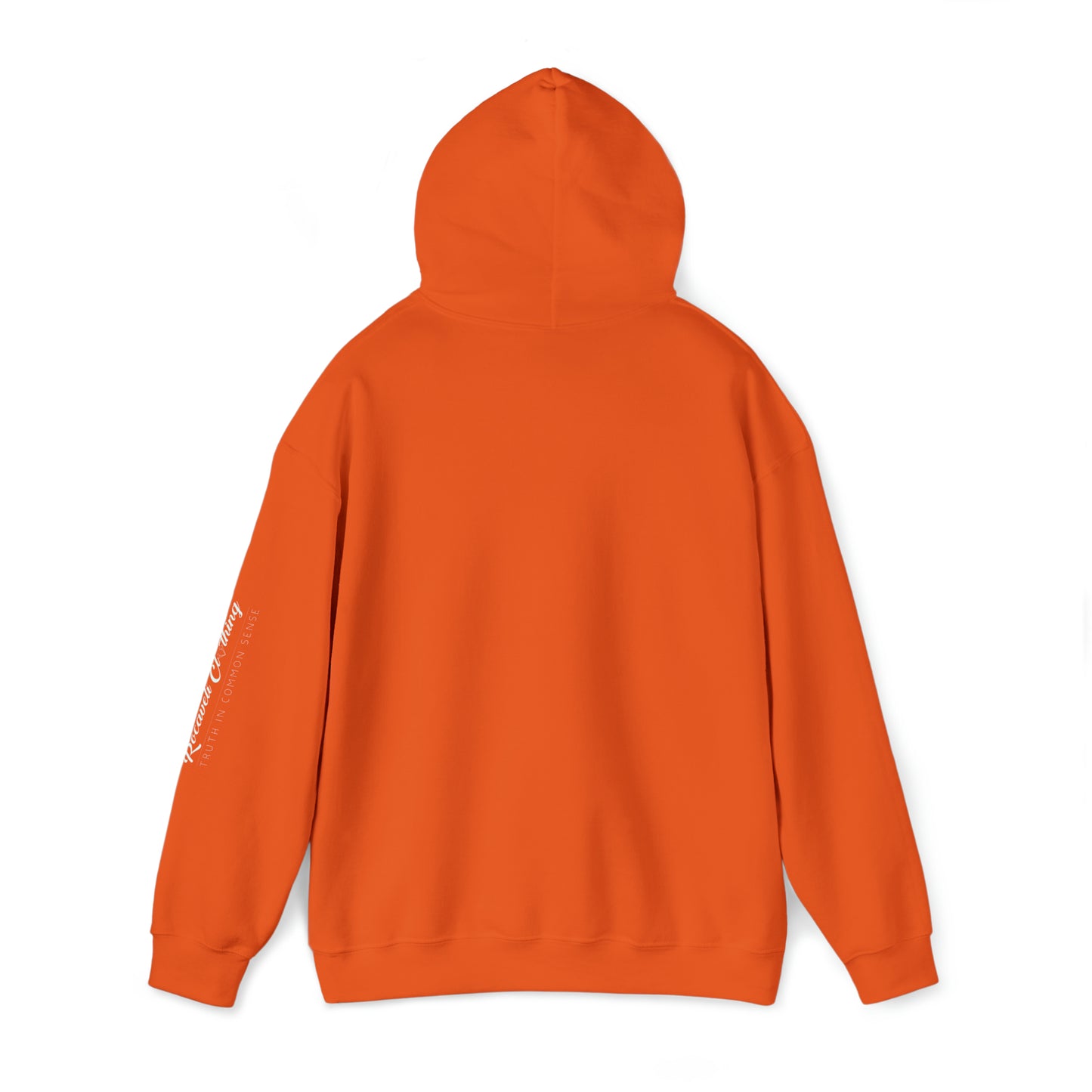 Unisex Heavy Blend™ Hooded Sweatshirt DREAM BIG EDITION