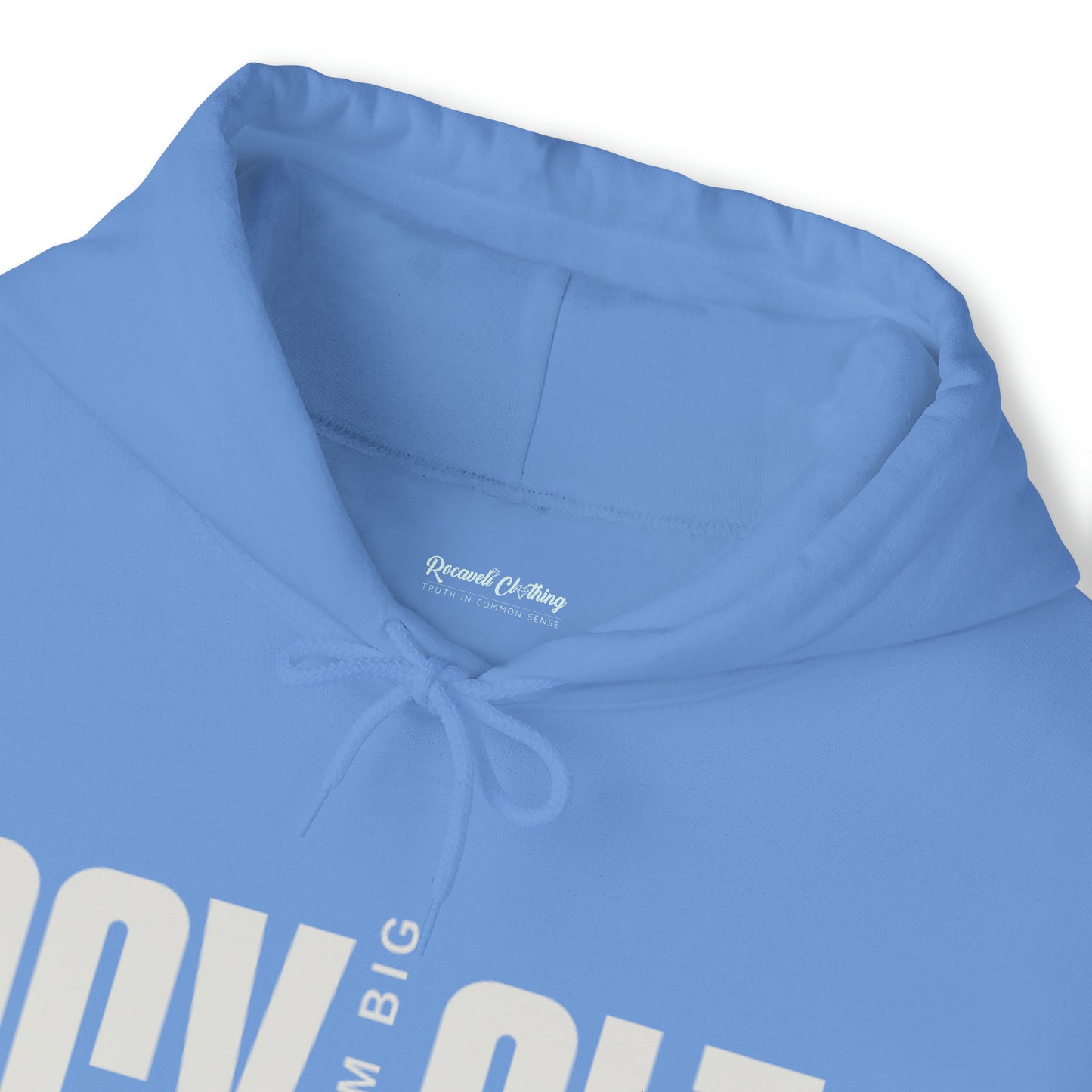 Unisex Heavy Blend™ Hooded Sweatshirt DREAM BIG EDITION