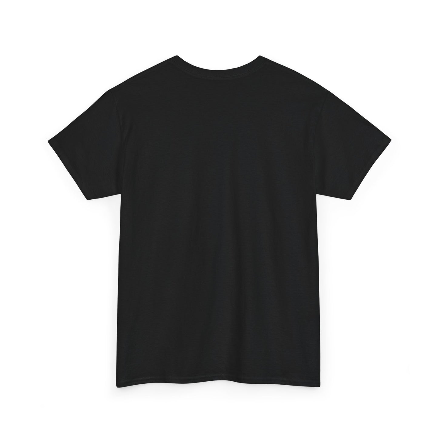 ROCAVELI CLOTHING Graphic Tee — Flaming American Flag Bear with Stacks of Cash (Patriotic Rock Vibe)