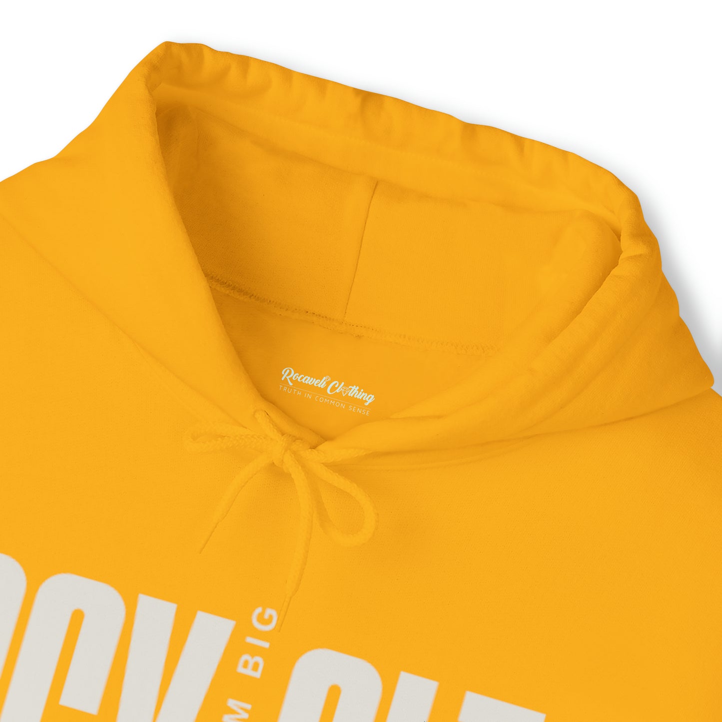 Unisex Heavy Blend™ Hooded Sweatshirt DREAM BIG EDITION