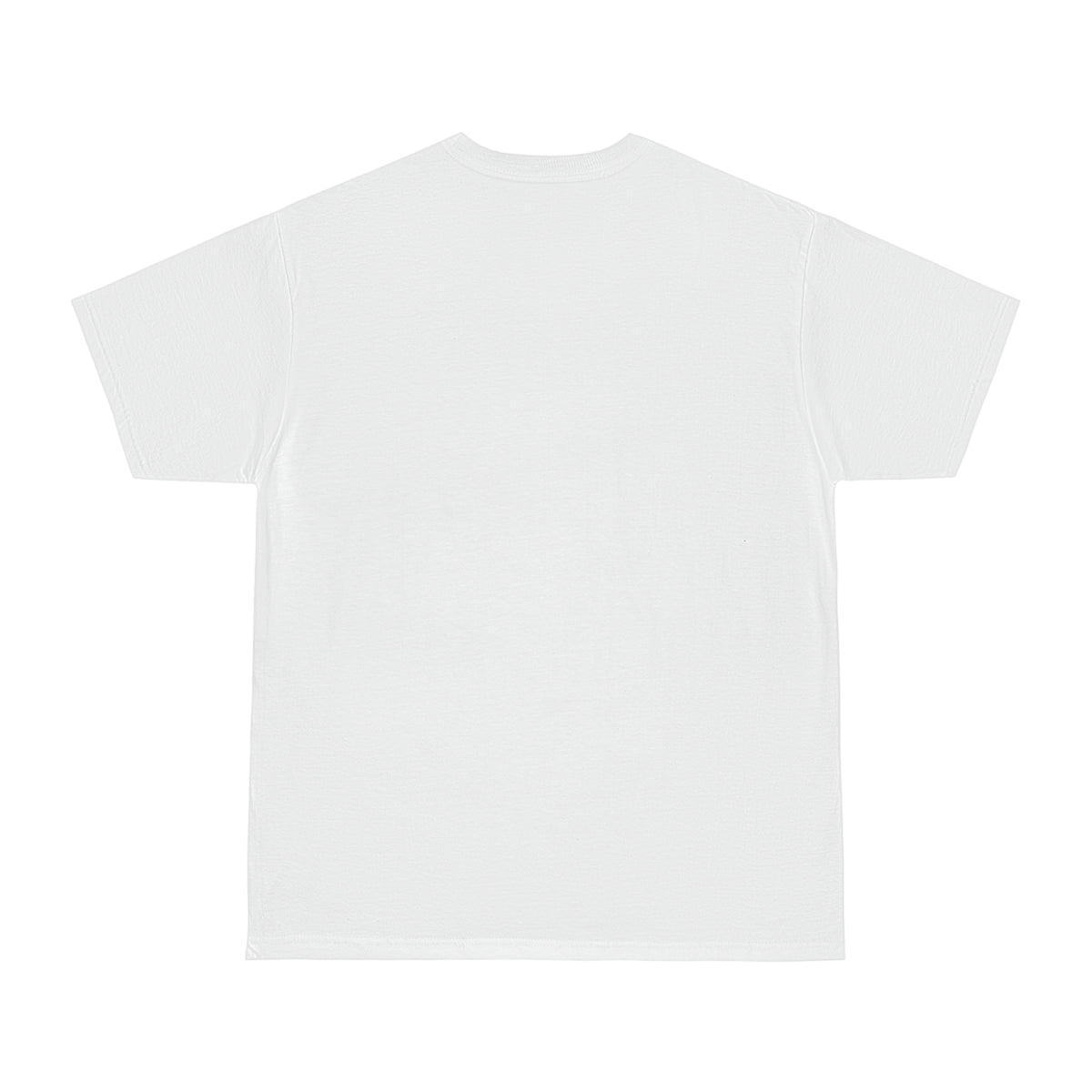 Nawleans Colorblock Graphic T-Shirt — BAGGY FIT