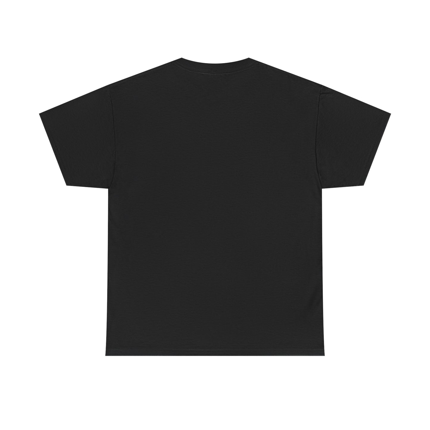 ROCAVELI CLOTHING Graphic Tee — Flaming American Flag Bear with Stacks of Cash (Patriotic Rock Vibe)