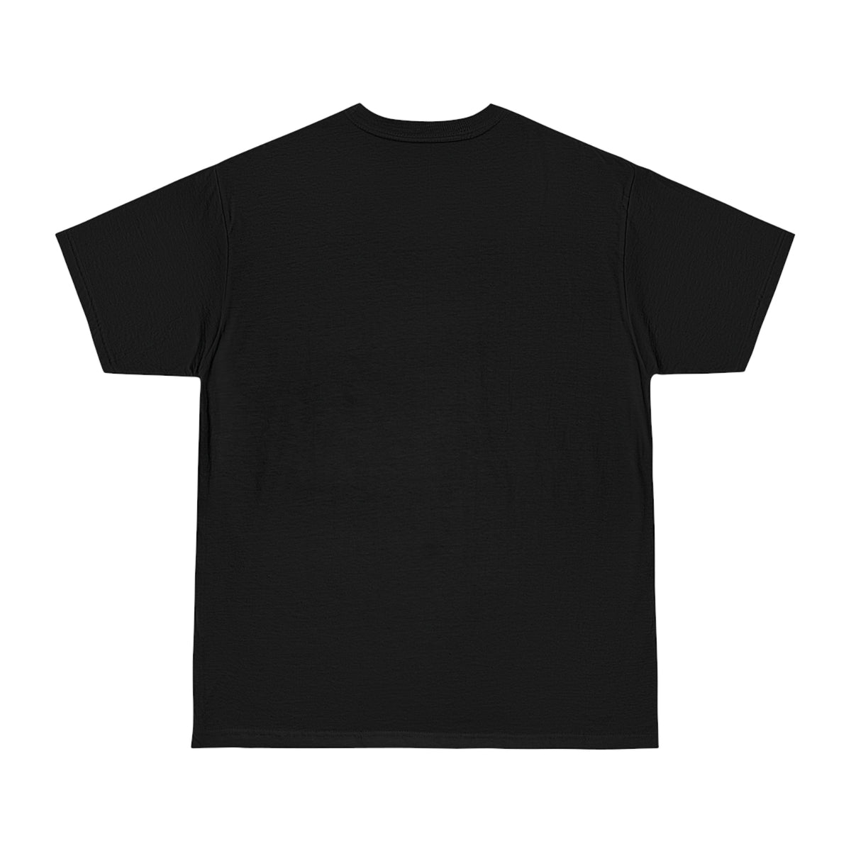 Nawleans Colorblock Graphic T-Shirt — BAGGY FIT