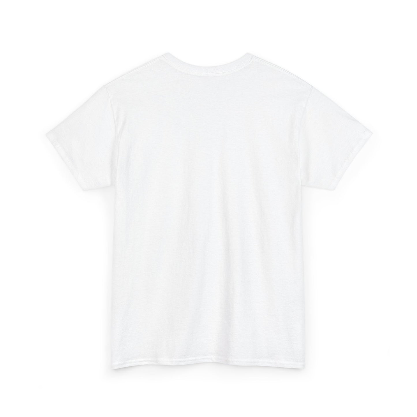 ROCAVELI CLOTHING Graphic Tee — Flaming American Flag Bear with Stacks of Cash (Patriotic Rock Vibe)